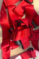 4-01-295294 - HARNESS - NS